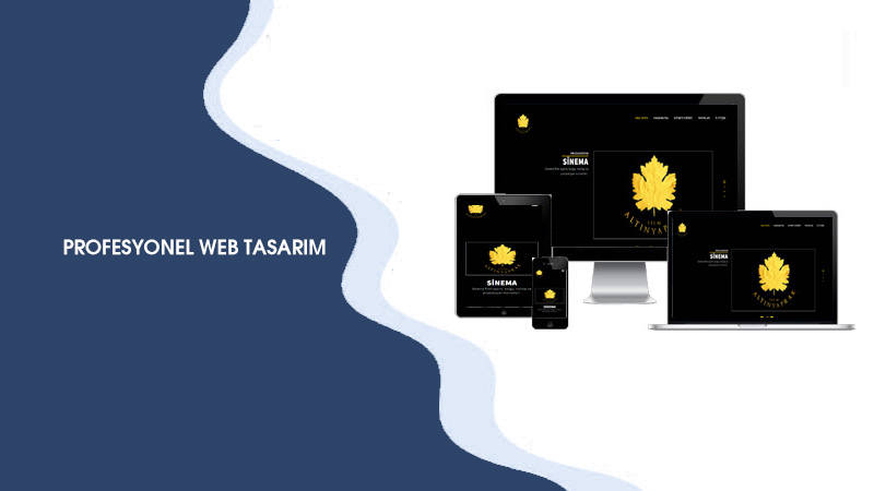 Profesyonel Web Tasarım